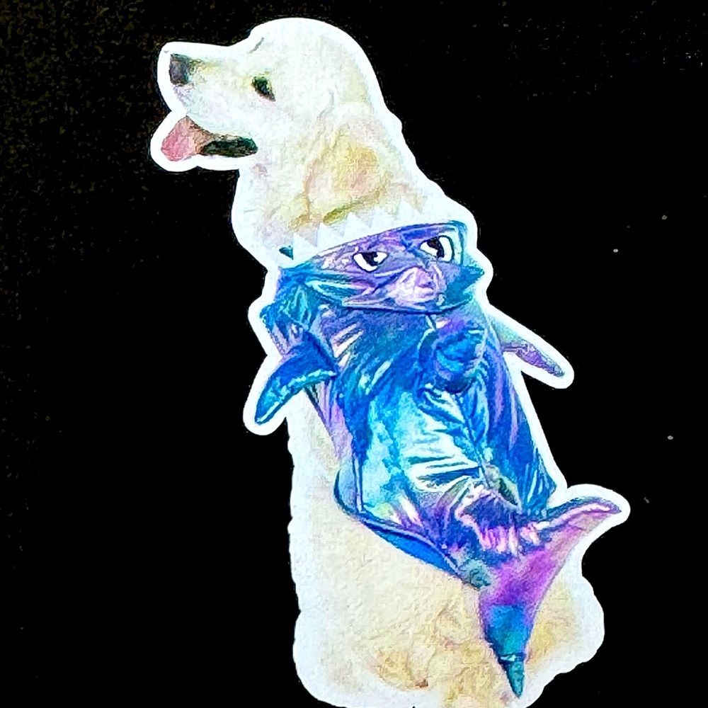 Shark Dog Costume